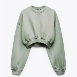 Zara cropped crew neck